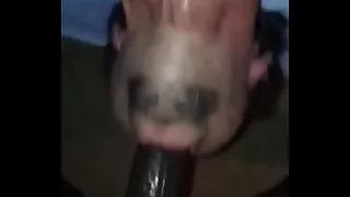 2441 deepthroat porn videos